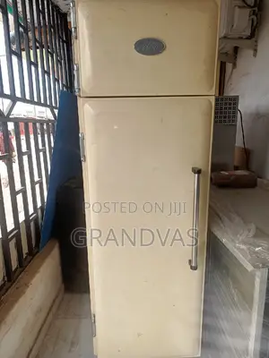 Industrial Freezer- Upright