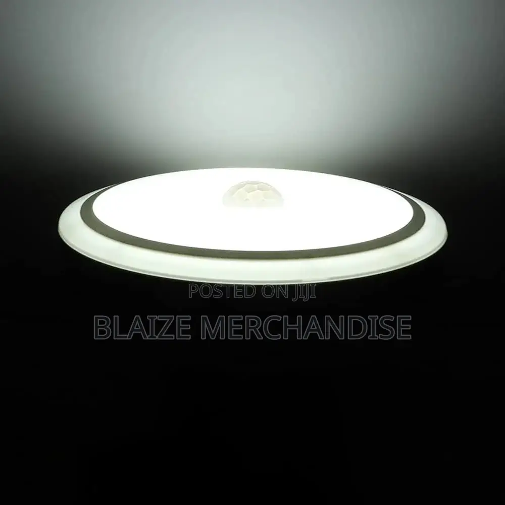 Motion Sensor Ceiling Light