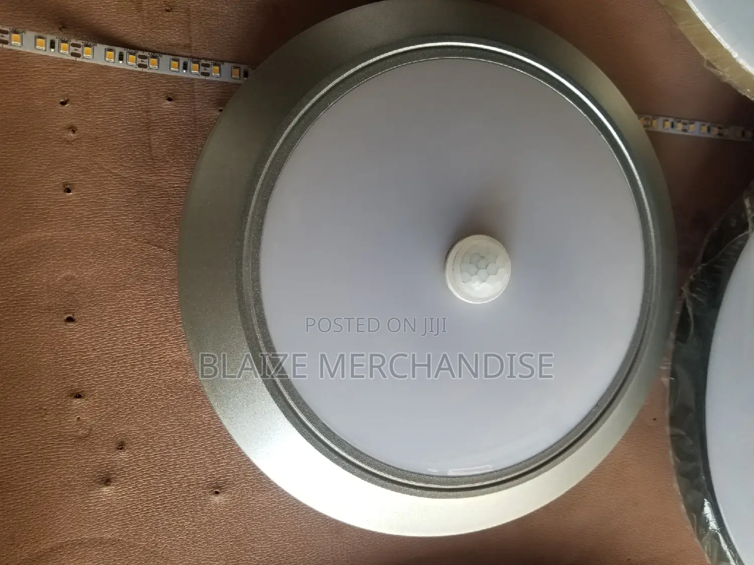 Motion Sensor Ceiling Light