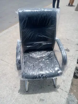 This Is a Belgium Visitor Chair
