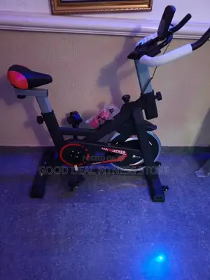 Big Executive Spinning Bike