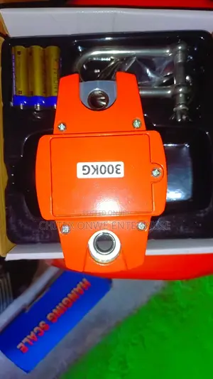 300kg Digital Hanging Crane Scale