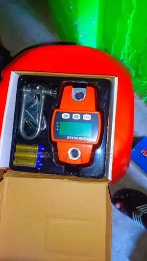 300kg Digital Hanging Crane Scale