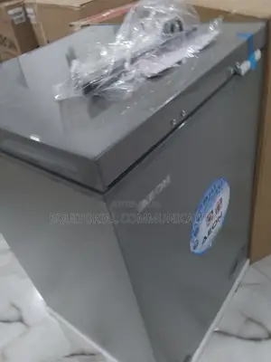 Aeon Freezer 102l R600a Sd Grey