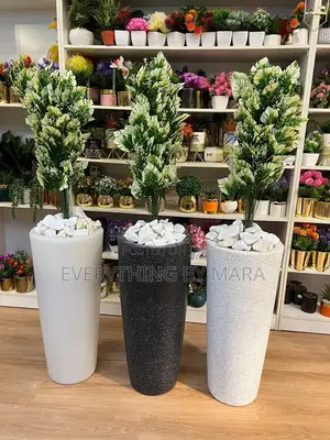Potted Flower Plant