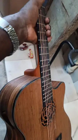 Professional Semi Acoustic Guitar