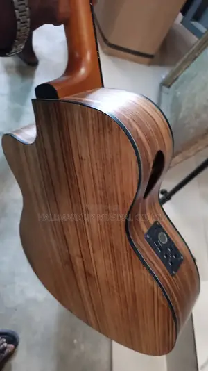 Professional Semi Acoustic Guitar