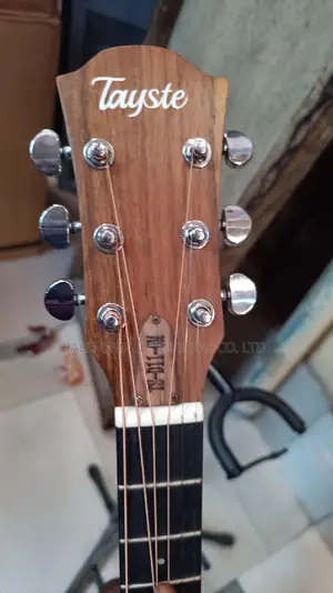 Professional Semi Acoustic Guitar