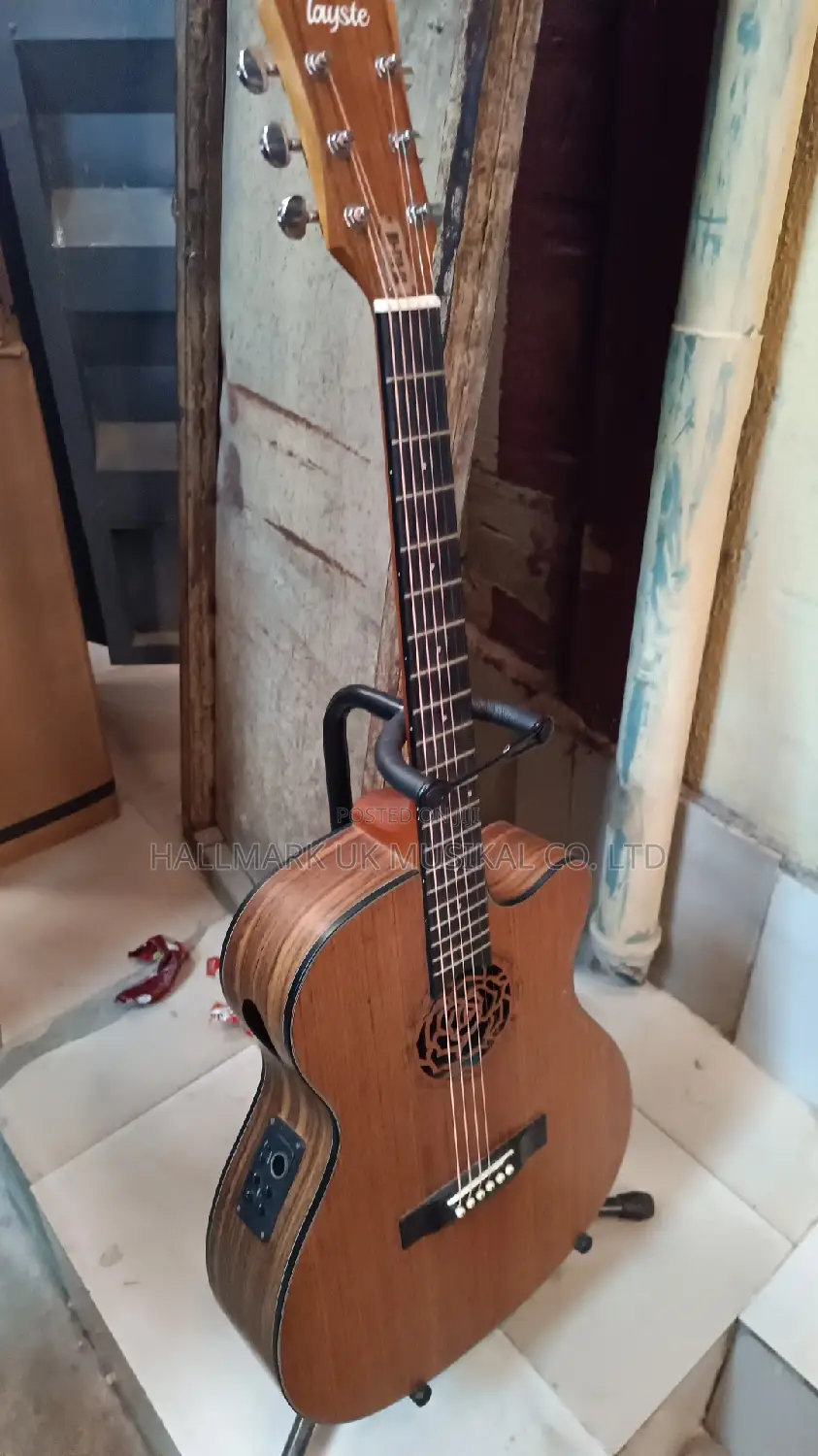 Professional Semi Acoustic Guitar