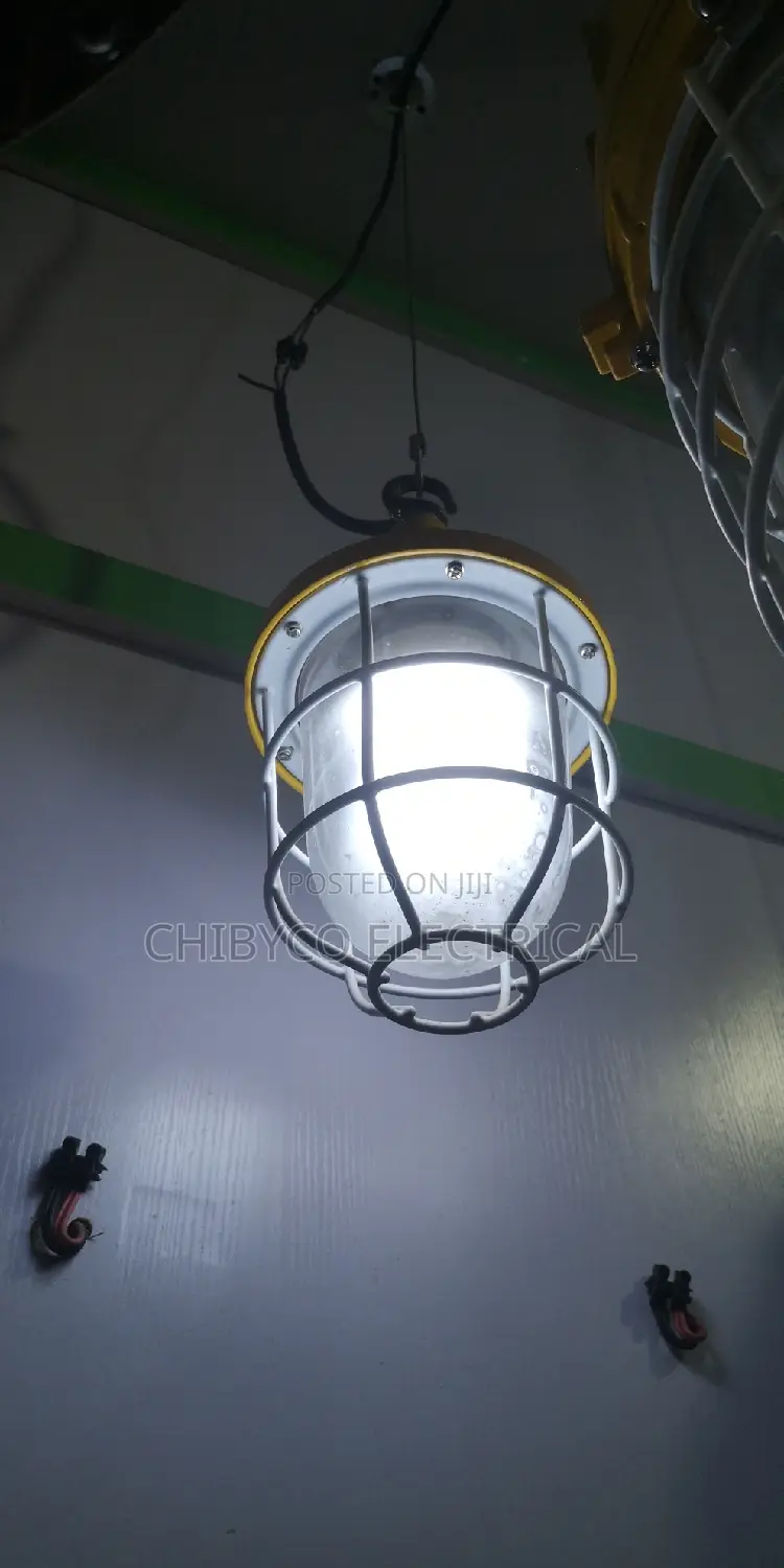 Explosion Proof Security Dropping Light