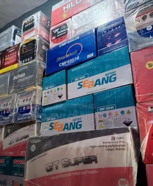 Quality Sebang 12v 100ahs for Benz