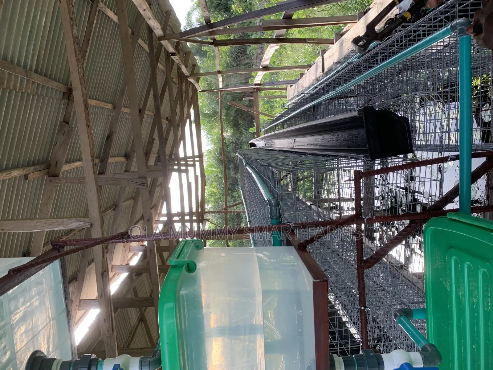 Battery Cage for Layers