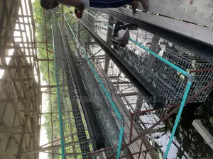 Battery Cage for Layers