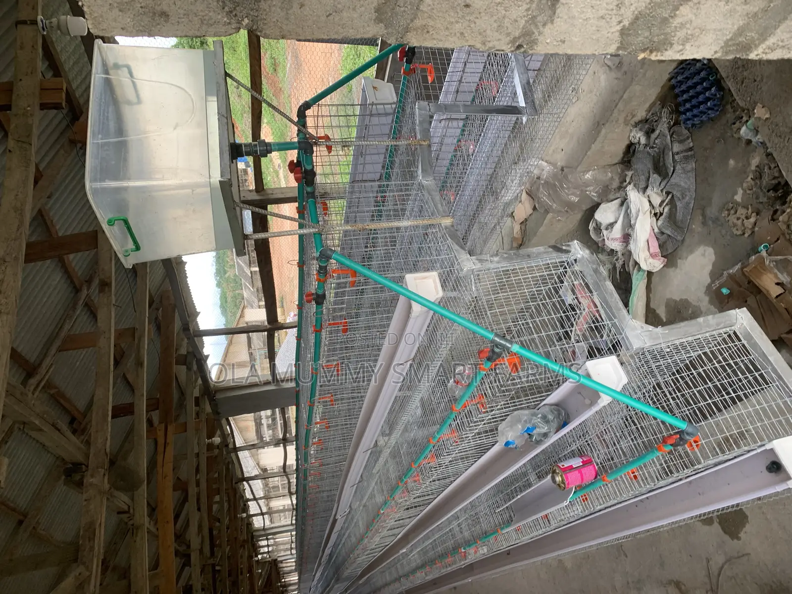 Layer’S Battery Cage 96 Capacity