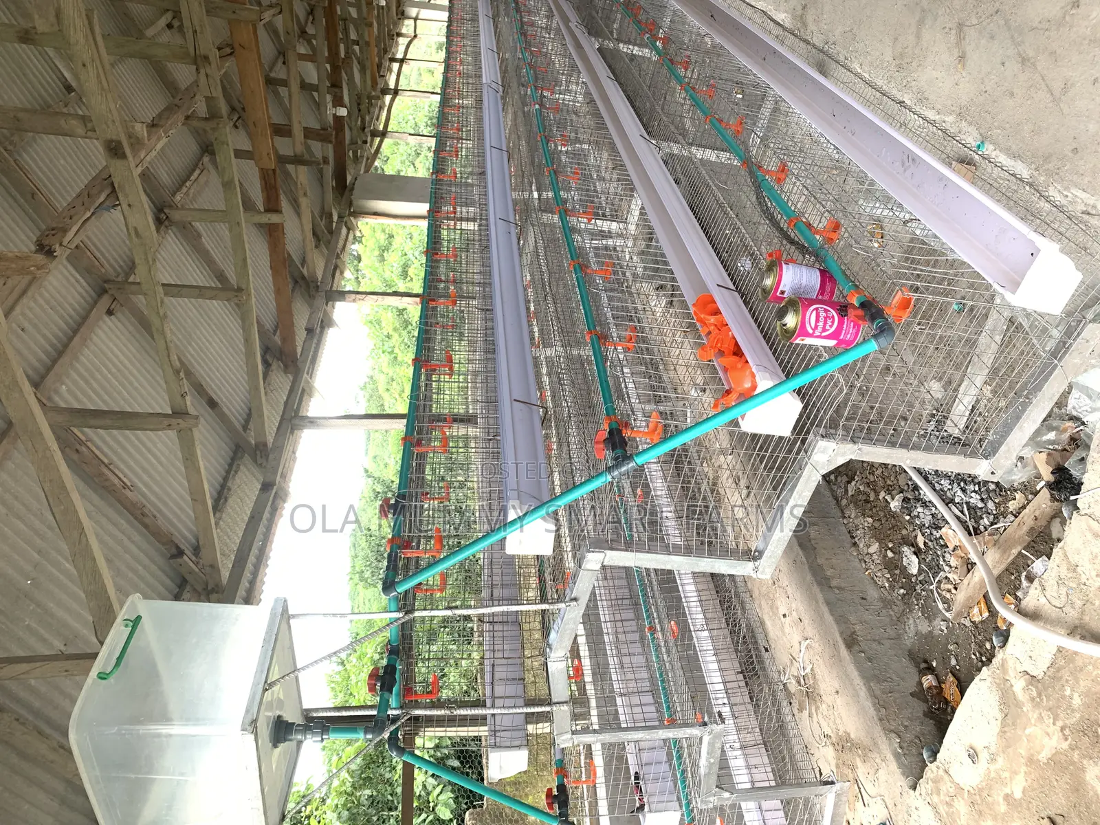 Layer’S Battery Cage 96 Capacity