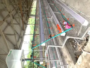 Layer’S Battery Cage 96 Capacity