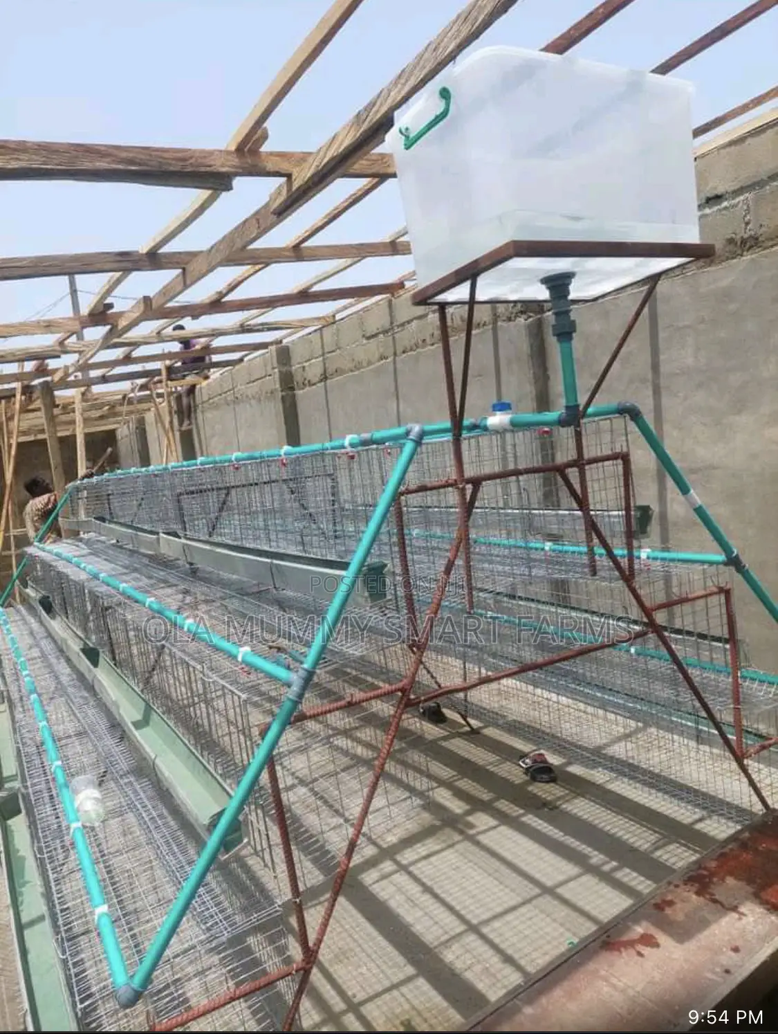 Layer’S Battery Cage 96 Capacity