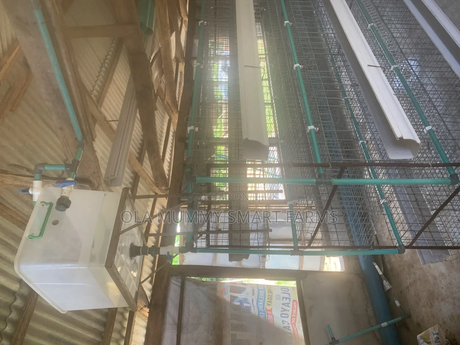 Layer’S Battery Cage 96 Capacity