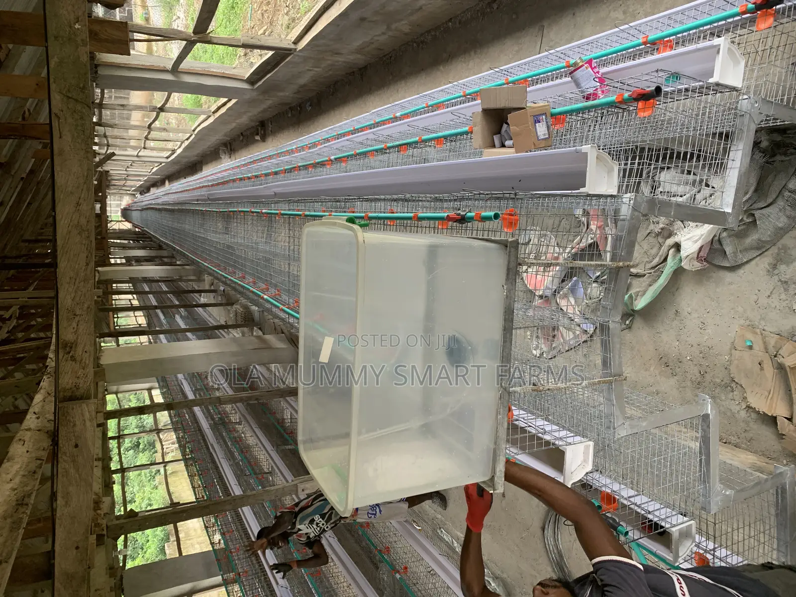 Layer’S Battery Cage 96 Capacity