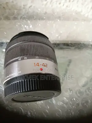 Panasonic 14-42mm Lens