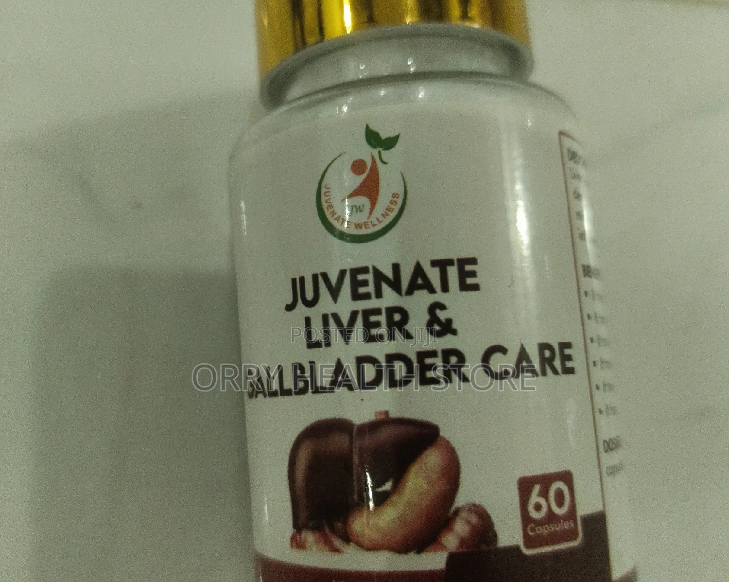 Liver Gallbladder for H.E.P.A.T.I.T.E.S