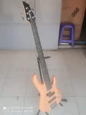 5-Strings Professional Bass Guitar