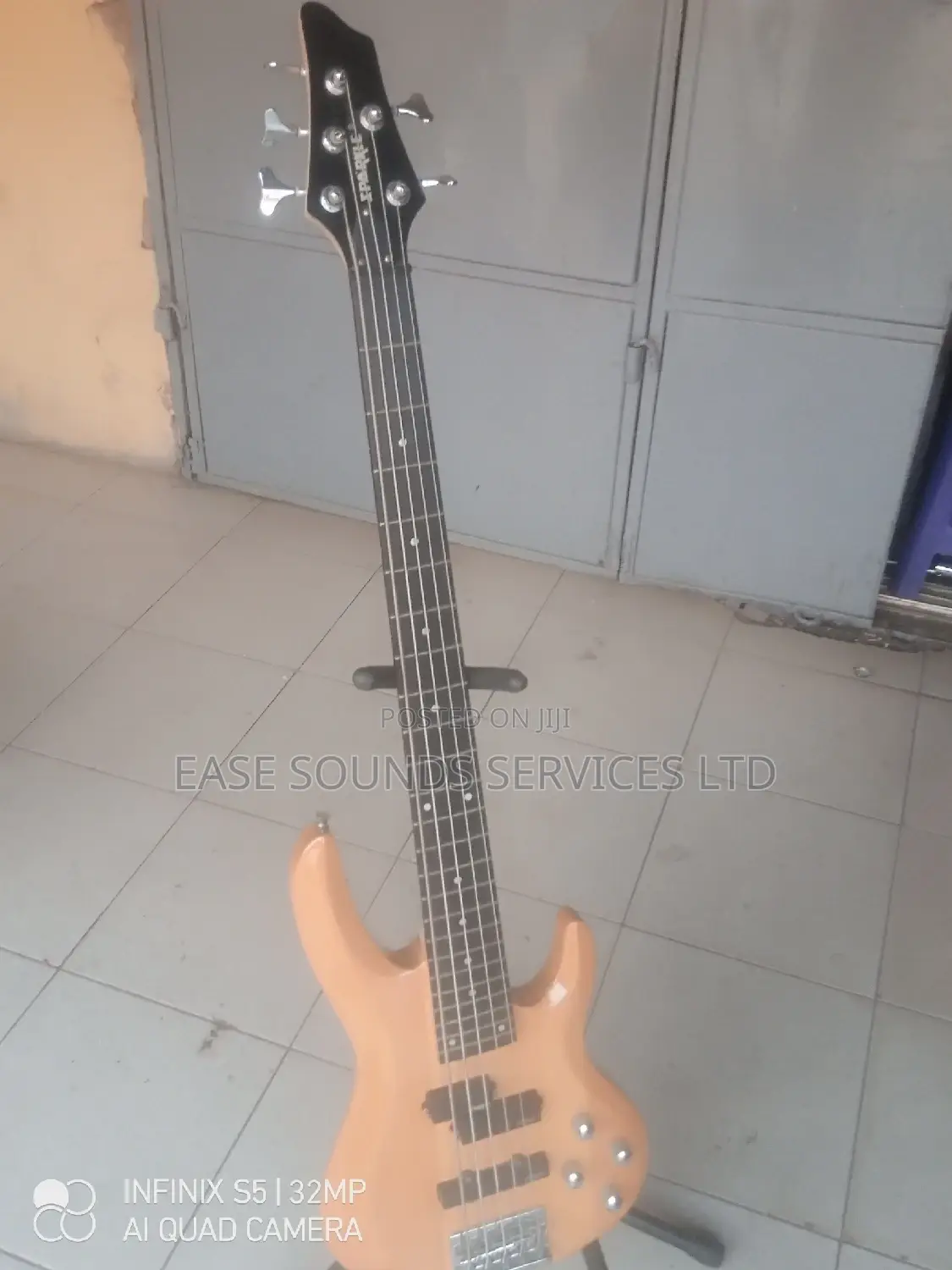 5-Strings Professional Bass Guitar