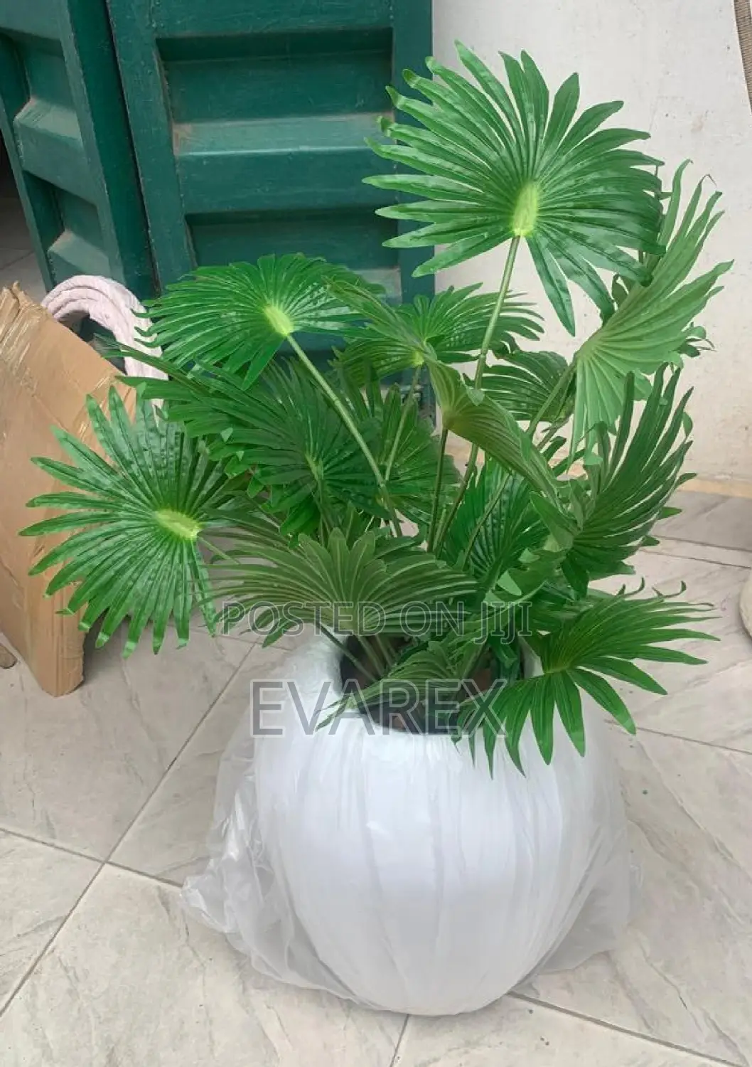 Quality Flower Pot With Flower