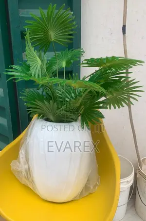 Quality Flower Pot With Flower