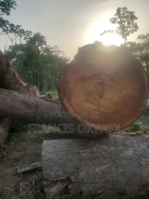 Opepe Wood Log