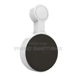 Nest Mini Wall Hanger