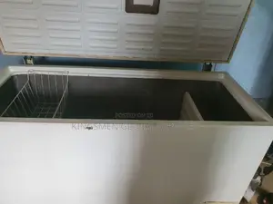 Deep Freezer for Frozen Food Business