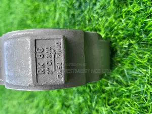 Gestra Wafer Disc Check Valve Rk86 Dn50 Pn40 (Sku: Efy036)