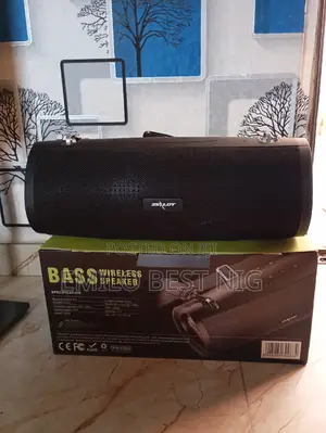 S39 Original Zealot Mp3 System