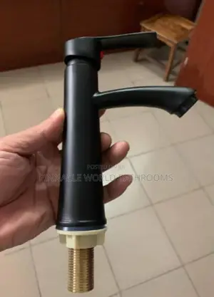 Black Single Basin Tap 009