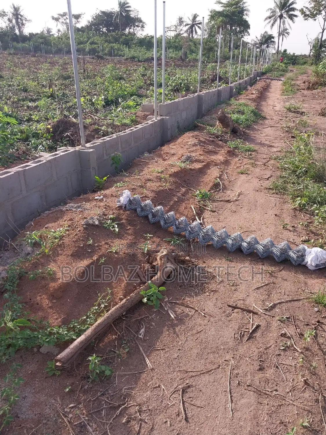 Chainlink Fence