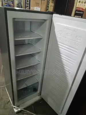 Skyrun 6 Step Upright Freezer