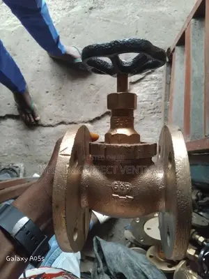 Brass Valve Flange Type