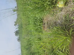Commercial Land for Sale at Dugbe Onireke Ibadan