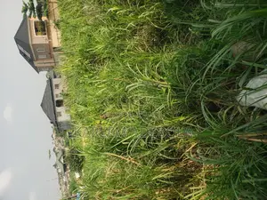 Mixed Use Land at Adjacent DSTV Onireke Ibadan