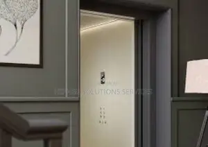 Domestic Lift For Home