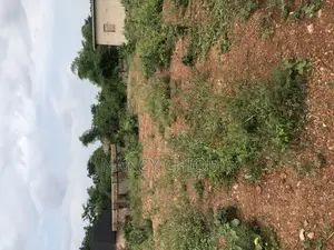 Land With Cofo