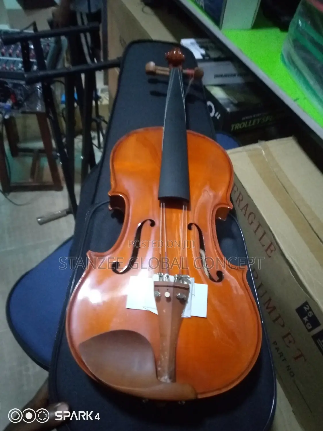 Quality 4/4 Viola With Accessories