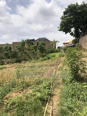 2509sqm Off Nwafor Orizu Independent Layout