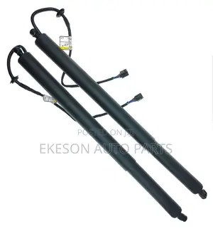 Automatic Boot Lift Shock Kia Hyundai Tucson Sorento Santafe