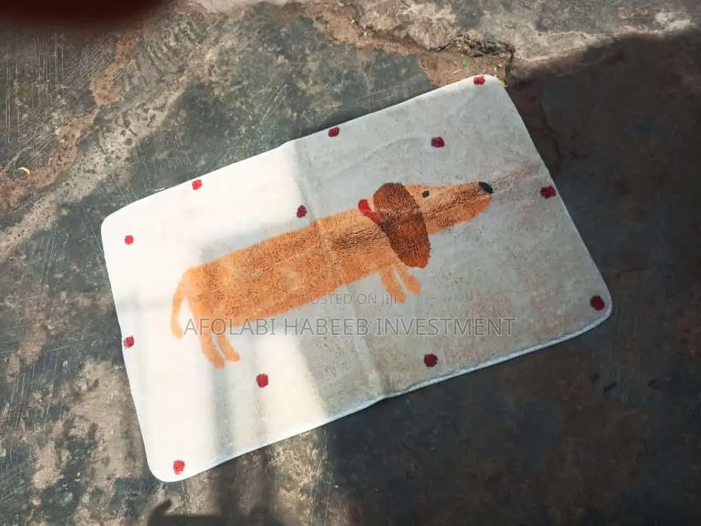 Door Footmat
