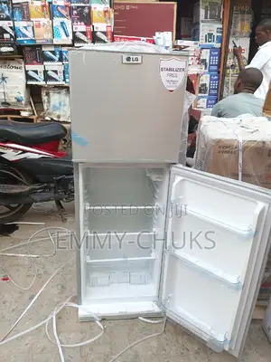 LG Standing Refrigerator