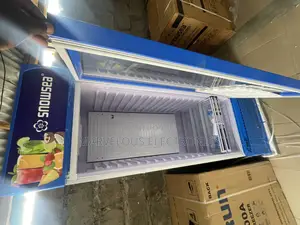Brand New Snowsea 500liters Chiller Full Copper Fast Working