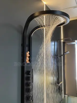 Executive Power Shower