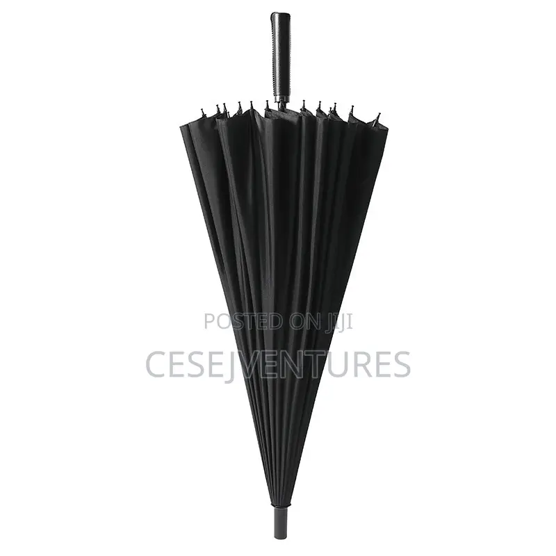 Big Umbrella